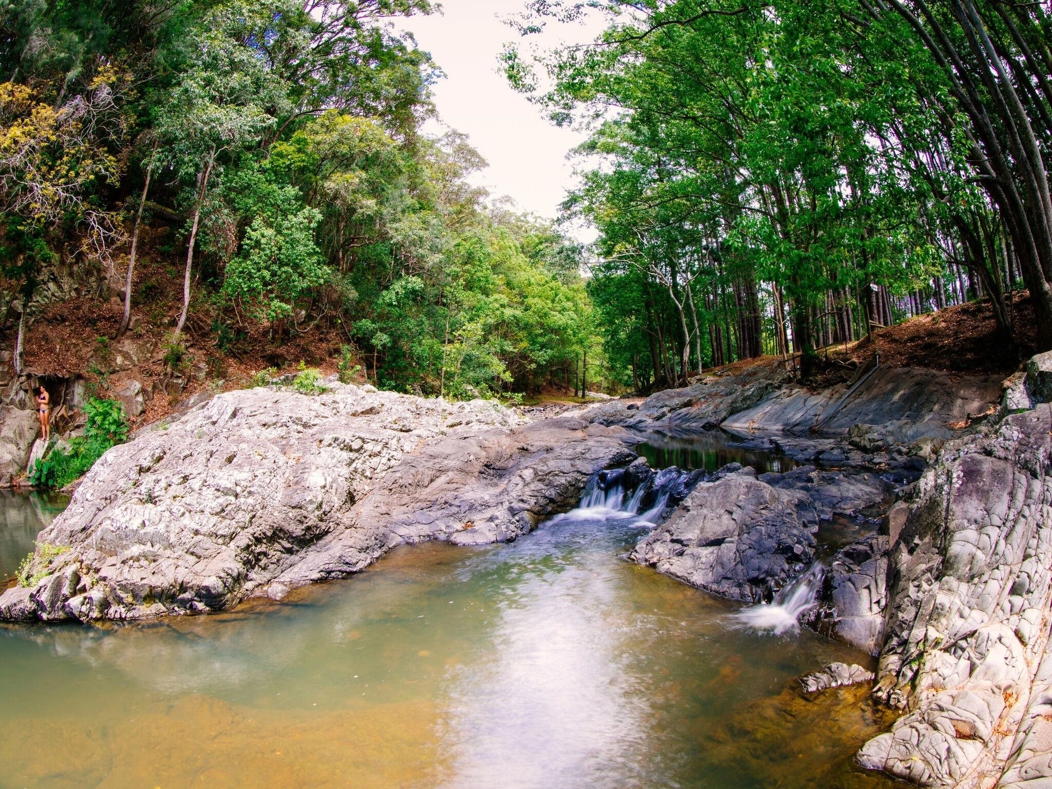 Currumbin Rock Pools Location