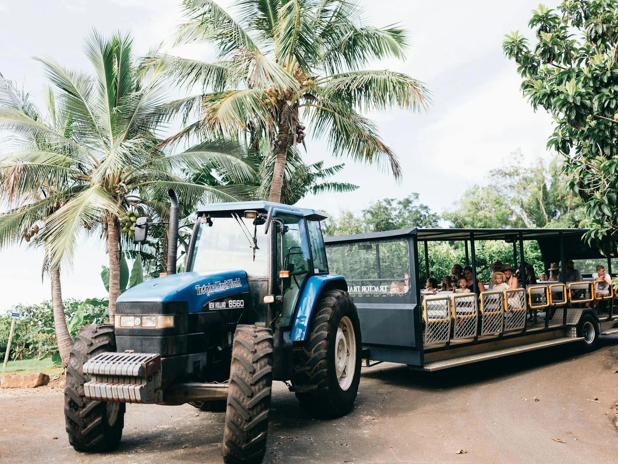 25% OFF Full Farm Tours at Tropical Fruit World