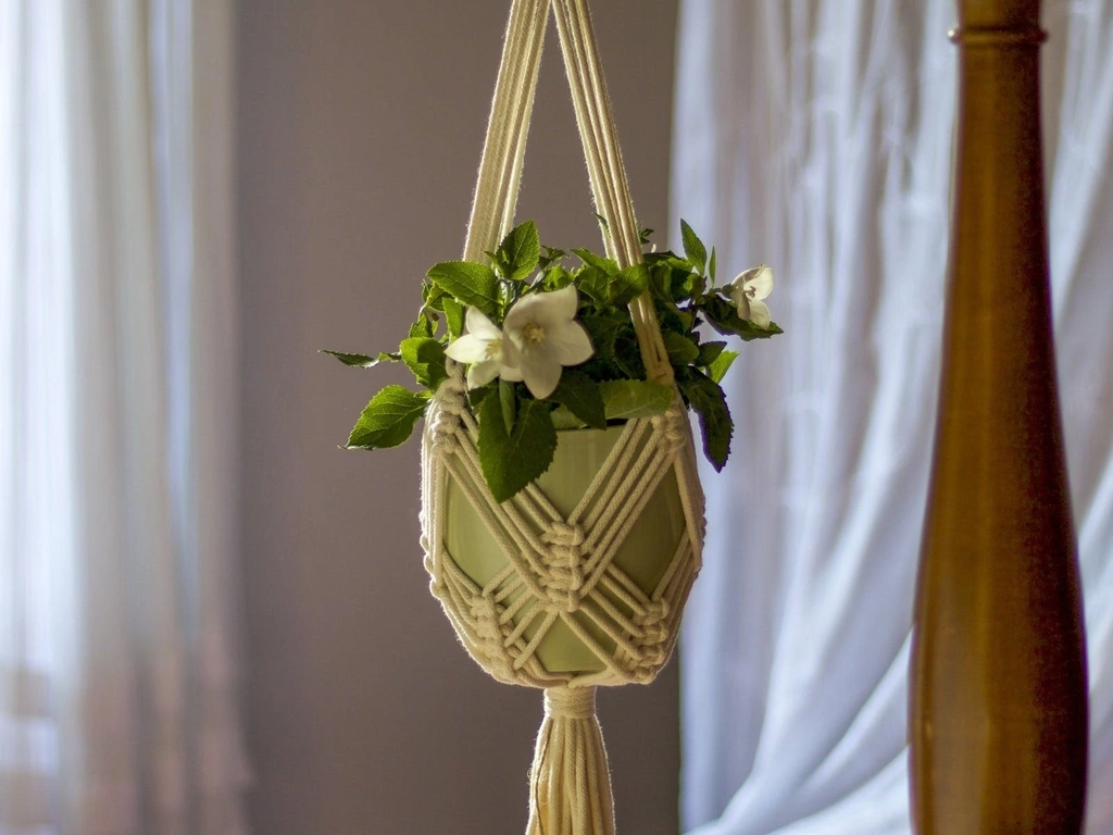 Macrame Pot Holder and Sip Workshop Image 1