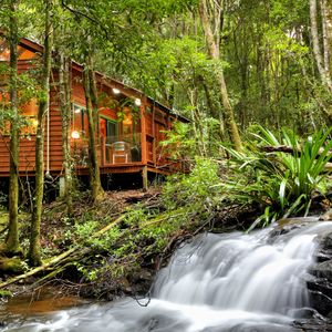 Luxury Rainforest Spa and Stream Chalet Wicked Witch with outside hot tub