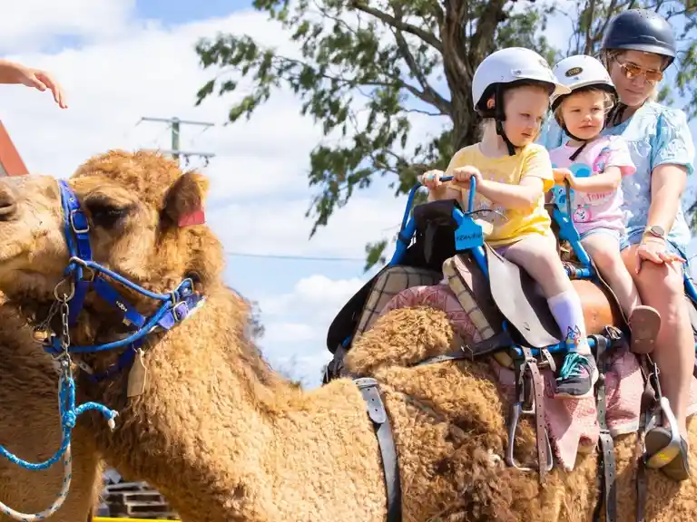 Christmas Markets - Summer Land Camels Image 3
