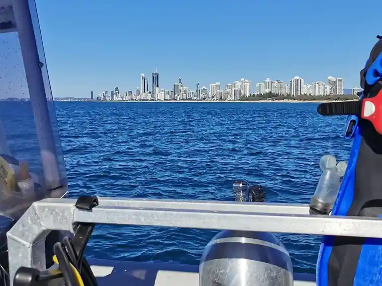 Diving off the Gold Coast