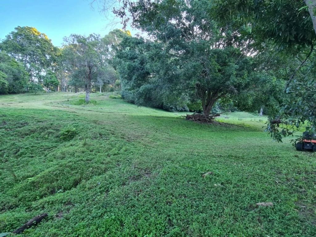 Koala Creek Camping