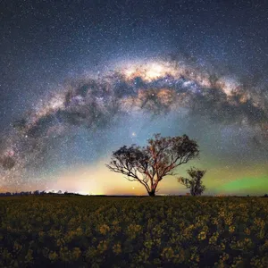 Beaudesert Milky Way Masterclass Image 1