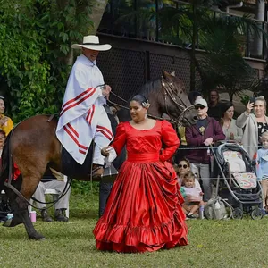 PISCO SOUR DAY! - A Celebration of Peruvian Culture Image 1