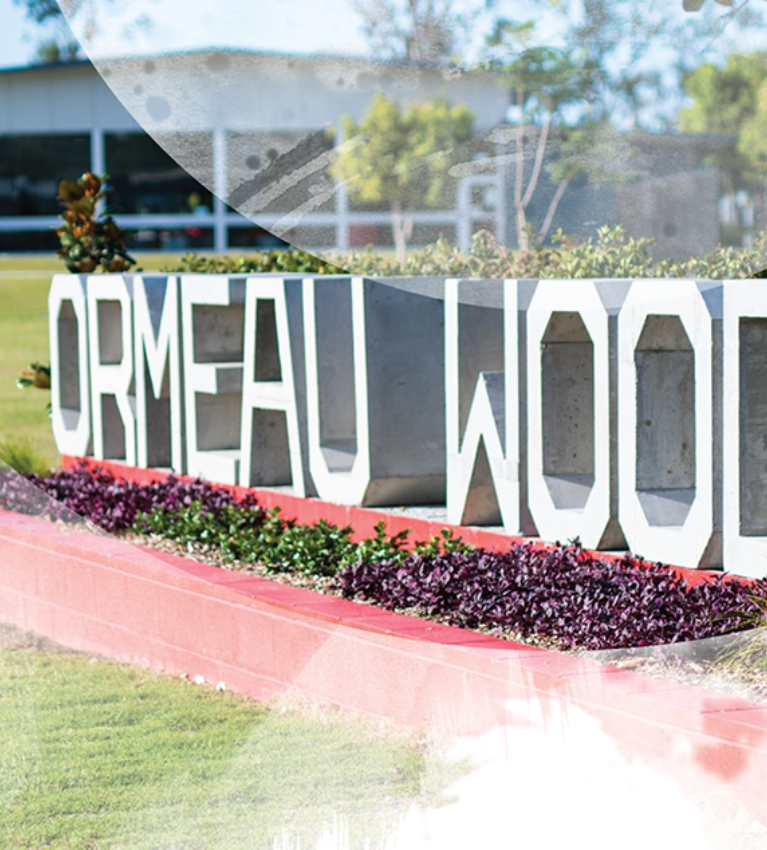 Ormeau-Woods-3.png