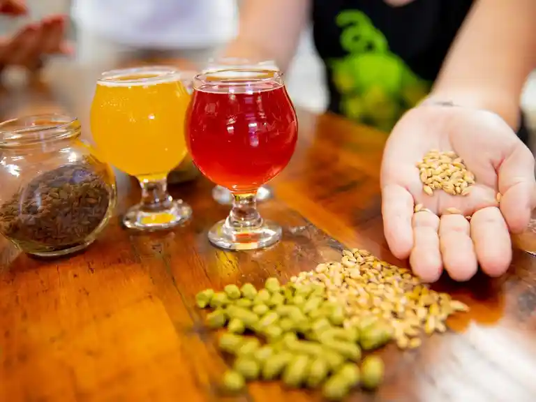 Showing off the ingredients of beer