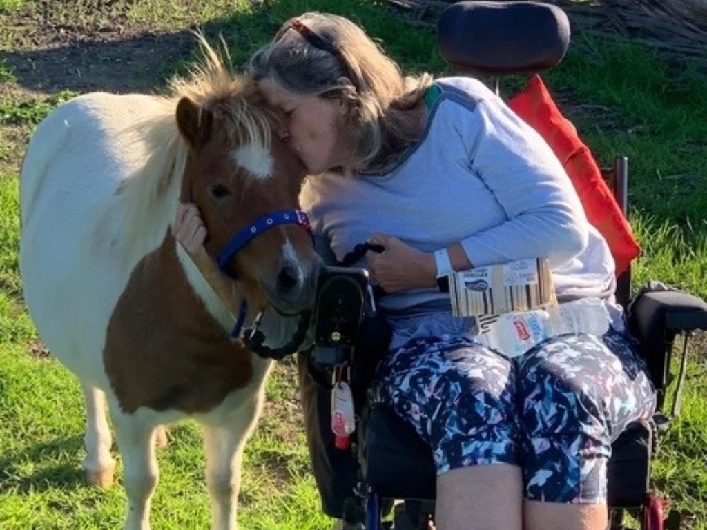 Miniature Pony and wheelchair user