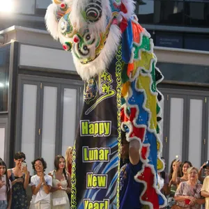 Lunar New Year Celebrations At Circle On Cavill Image 1