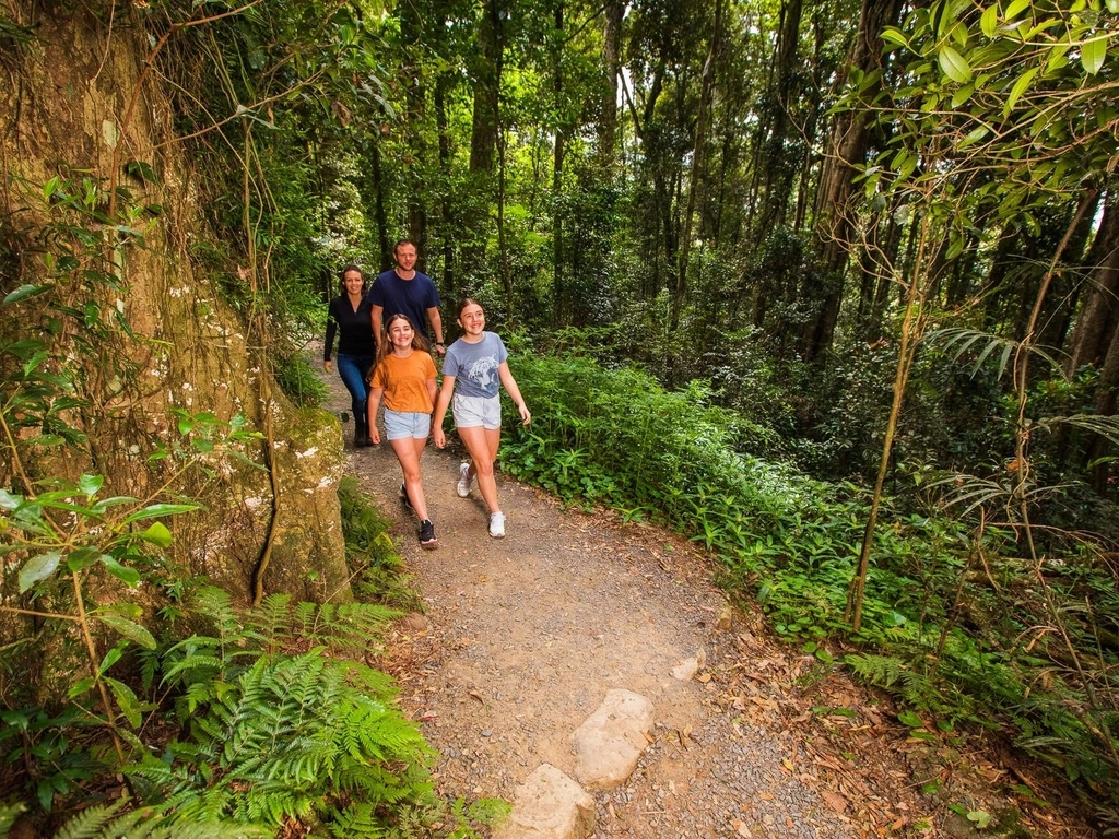 Family bushwalking in Lamington National Park