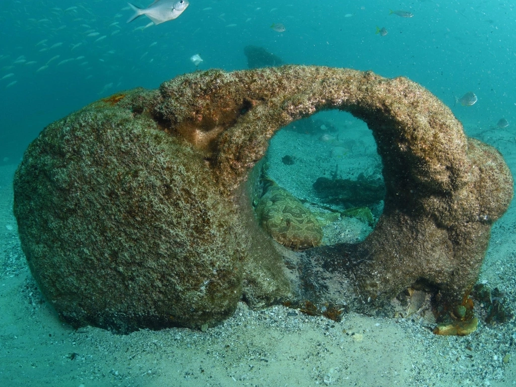 Scottish Prince Dive Site