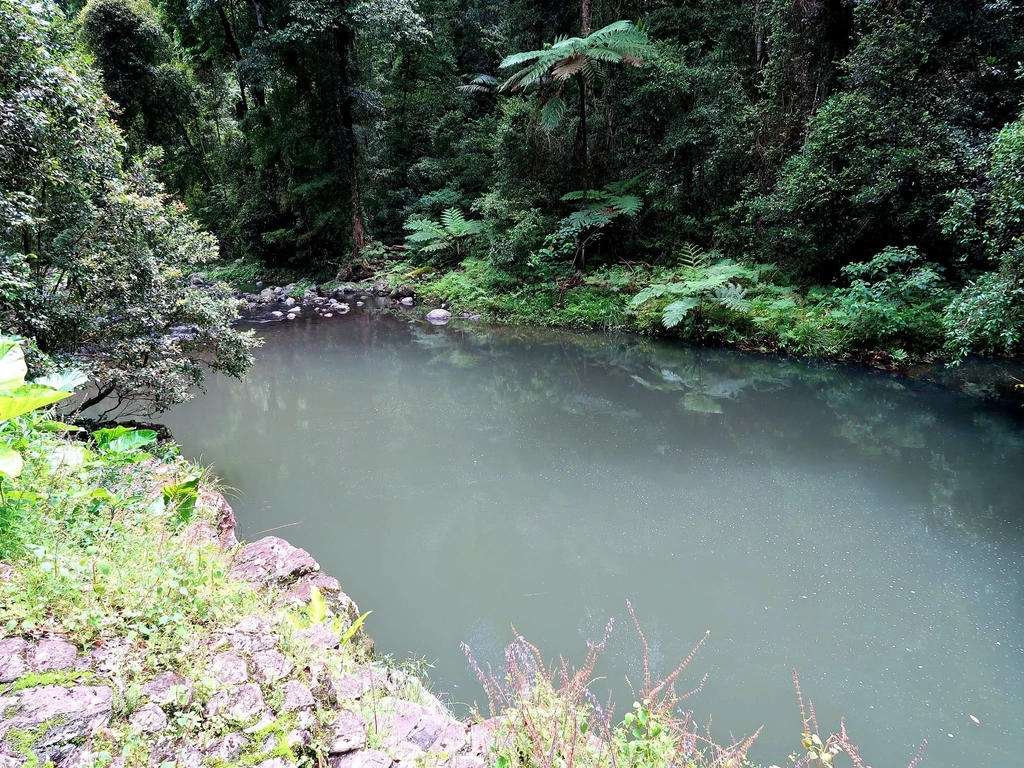 West Canungra River