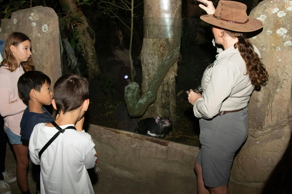 Twilight Tour at Currumbin Wildlife Sanctuary Image 1