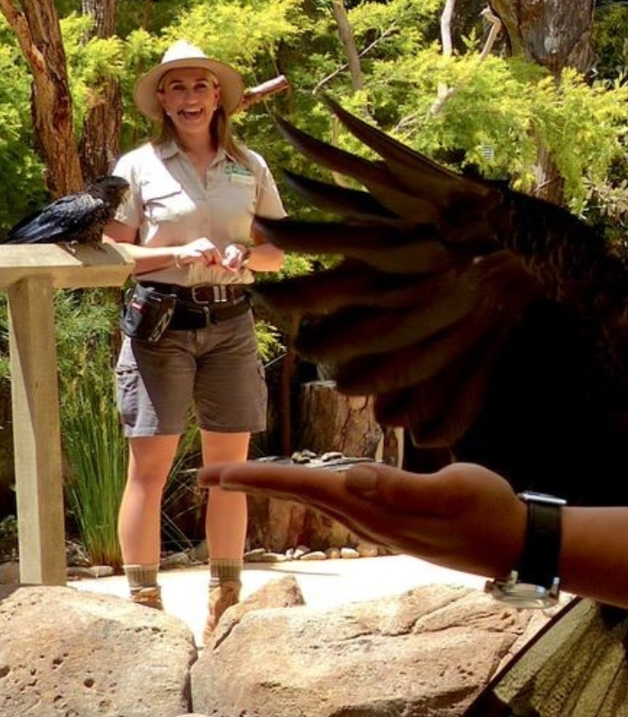 Currumbin-Wildlife-Sanctuary.jpg