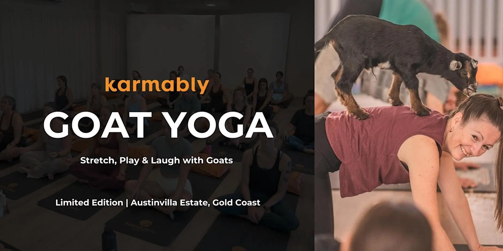 Goat Yoga Gold Coast Image 1