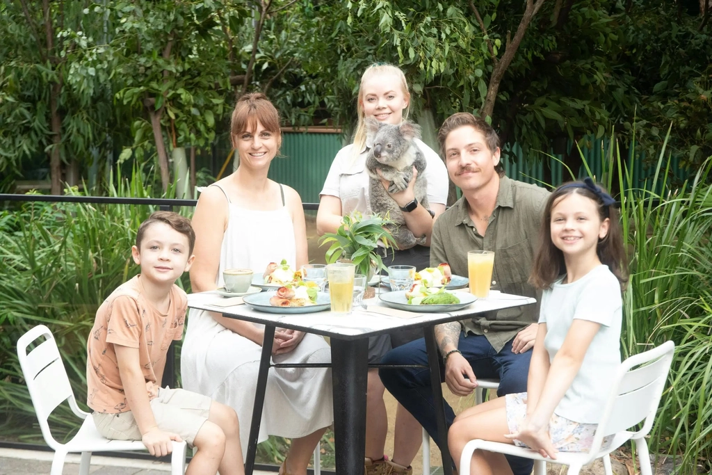 Koala Breakfast at Currumbin Wildlife Sanctuary Image 3