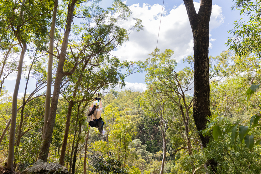 Treetop Challenge Mt Tamborine