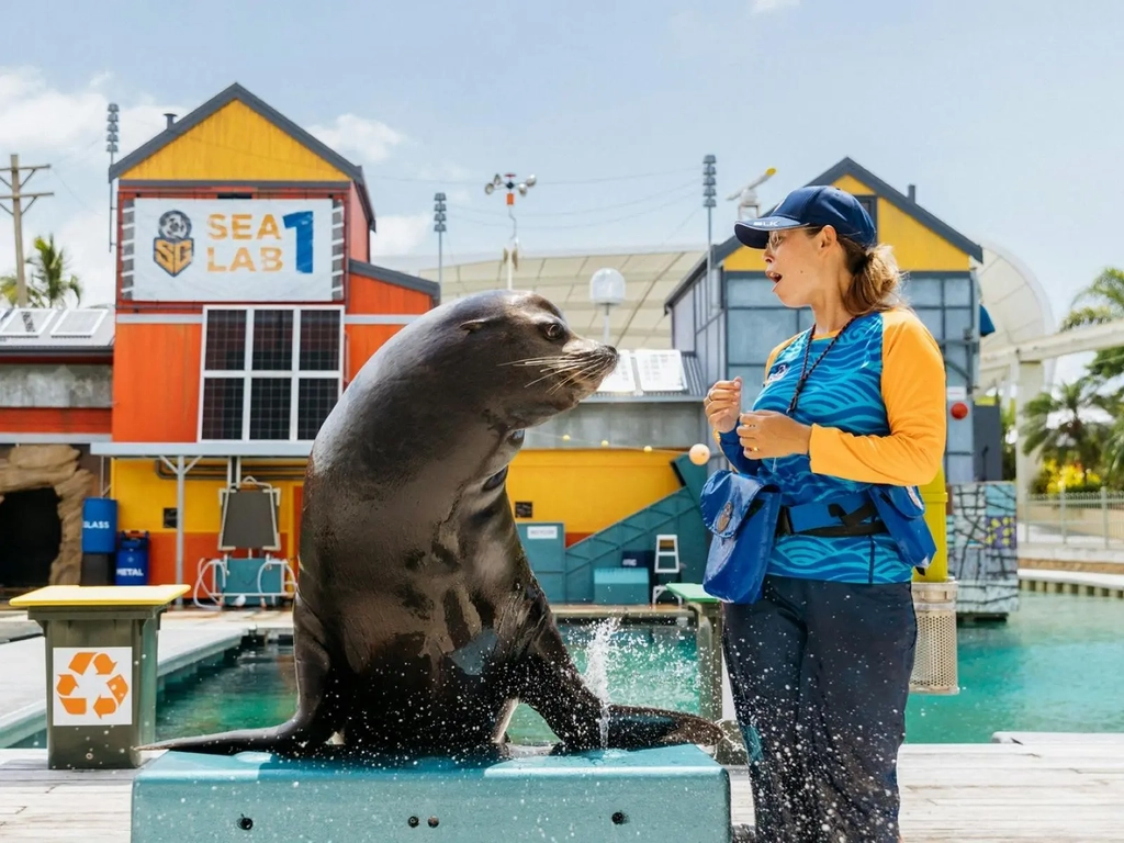 Seal Guardians Presentation - Sea World