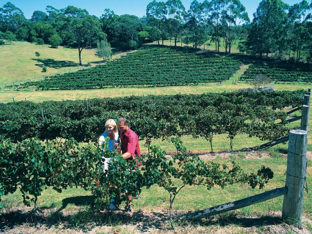 Tamborine Mountain