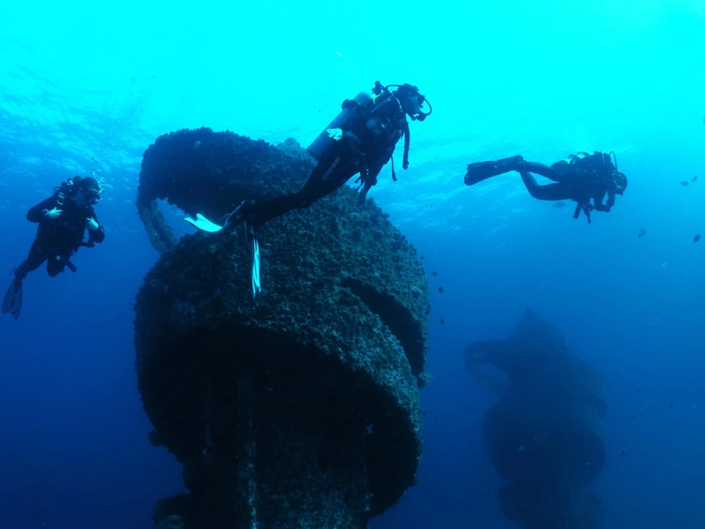 3 scuba divers explore Wonder Reef dive site