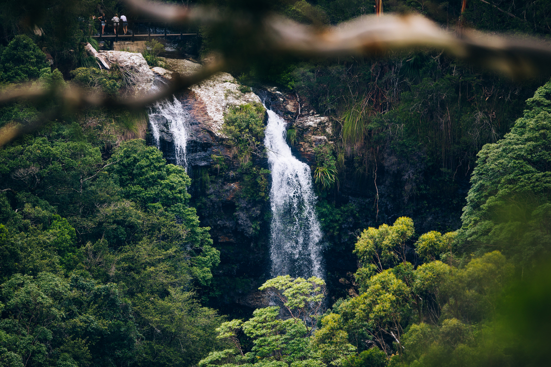 Twin Falls, Springbrook