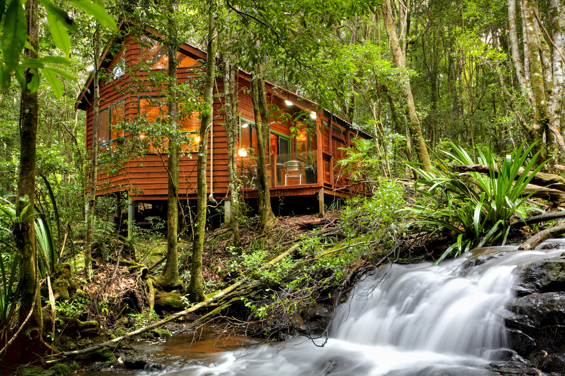 he Mouses House Rainforest Retreat