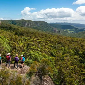 Lamington National Park guided walks