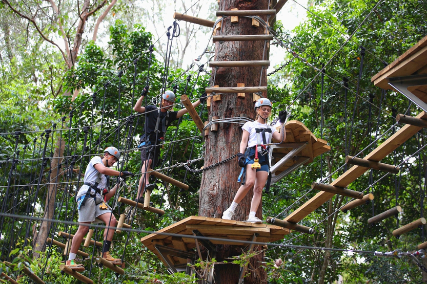 Treetop Challenge Currumbin