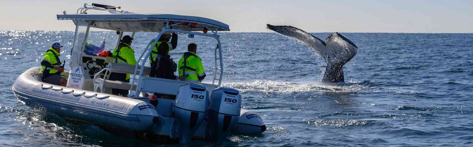 Meet the Cast of Gold Coast Ocean Rescue