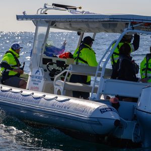 GCOR_TX4_Humpback Whale Tagging_Boat and Tail.jpg