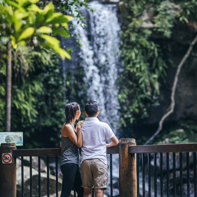 Curtis Falls