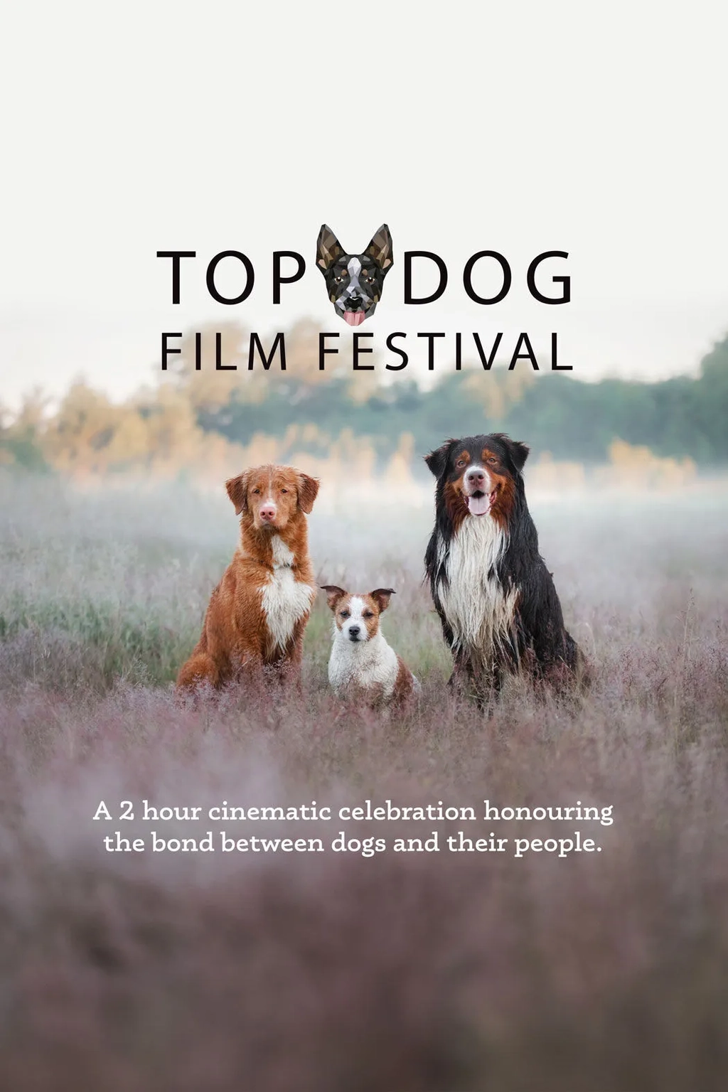 Top Dog Film Festival 2024 Image 1