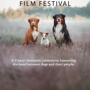 Top Dog Film Festival 2024 Image 1