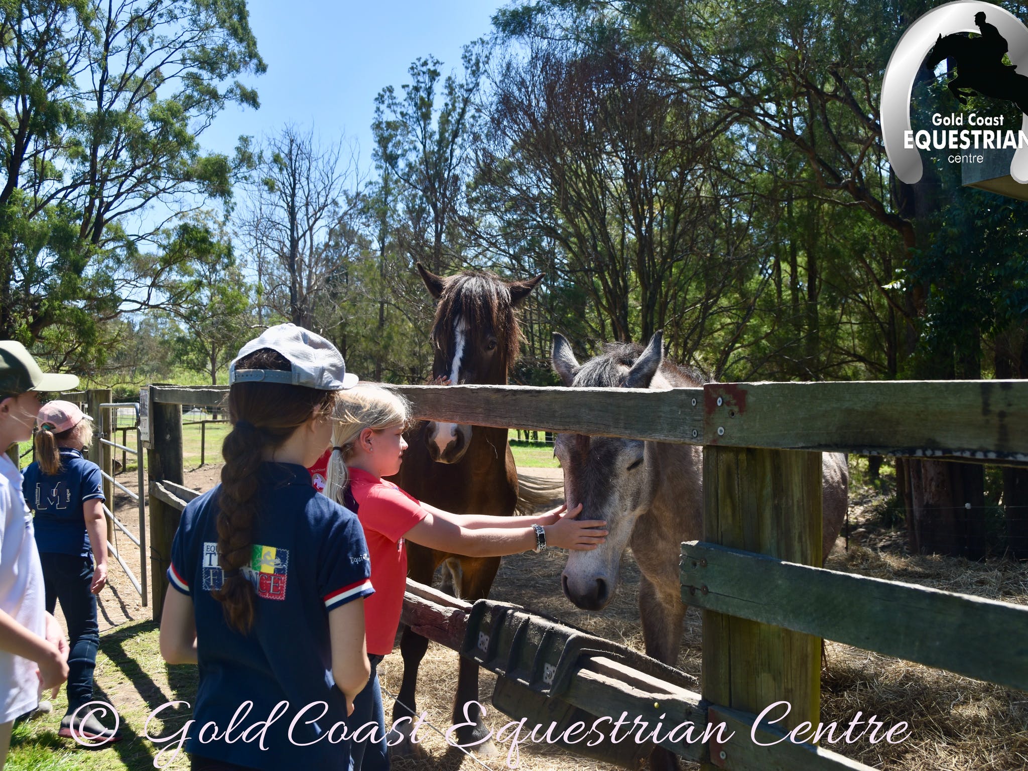Gold Coast Equestrian Centre Destination Gold Coast