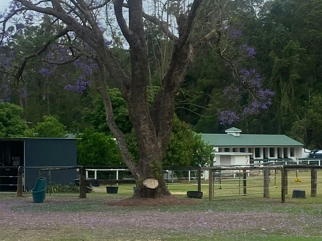 Carcary Farm