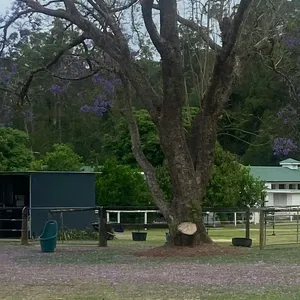 Carcary Farm