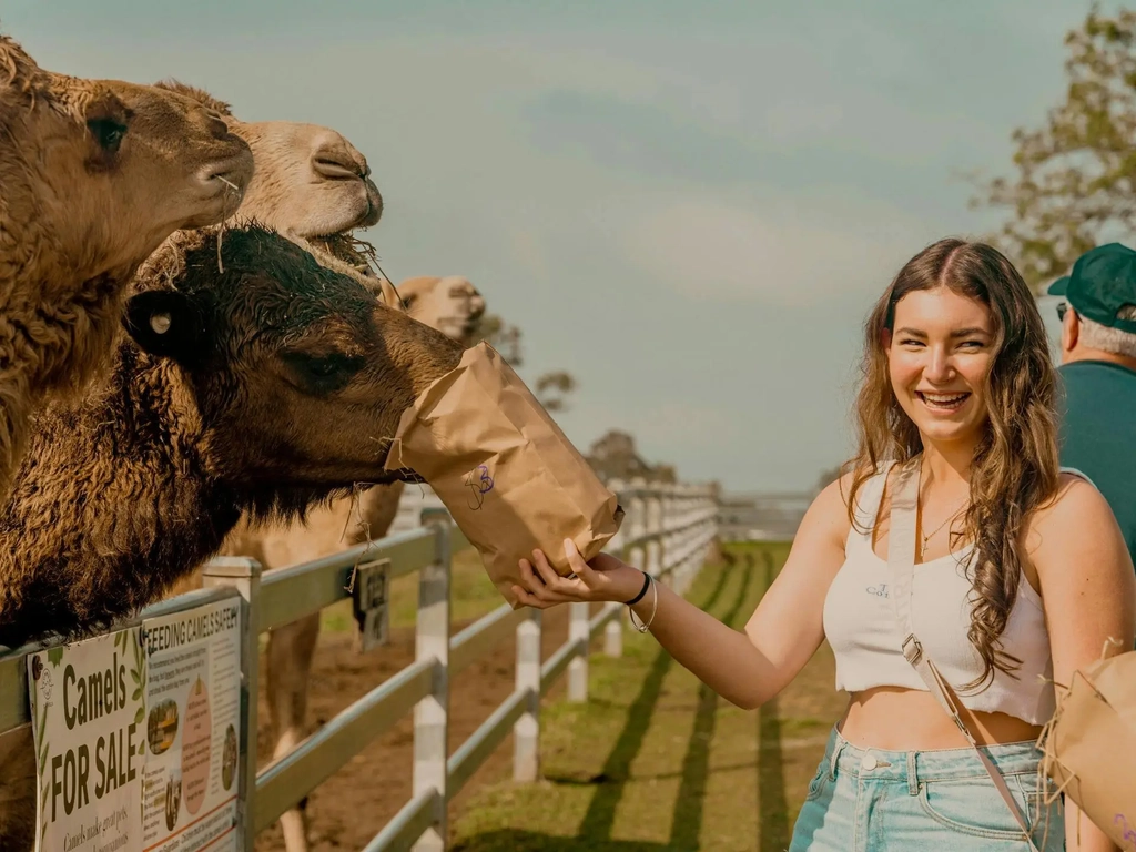 Fermented Food Festival Image 3