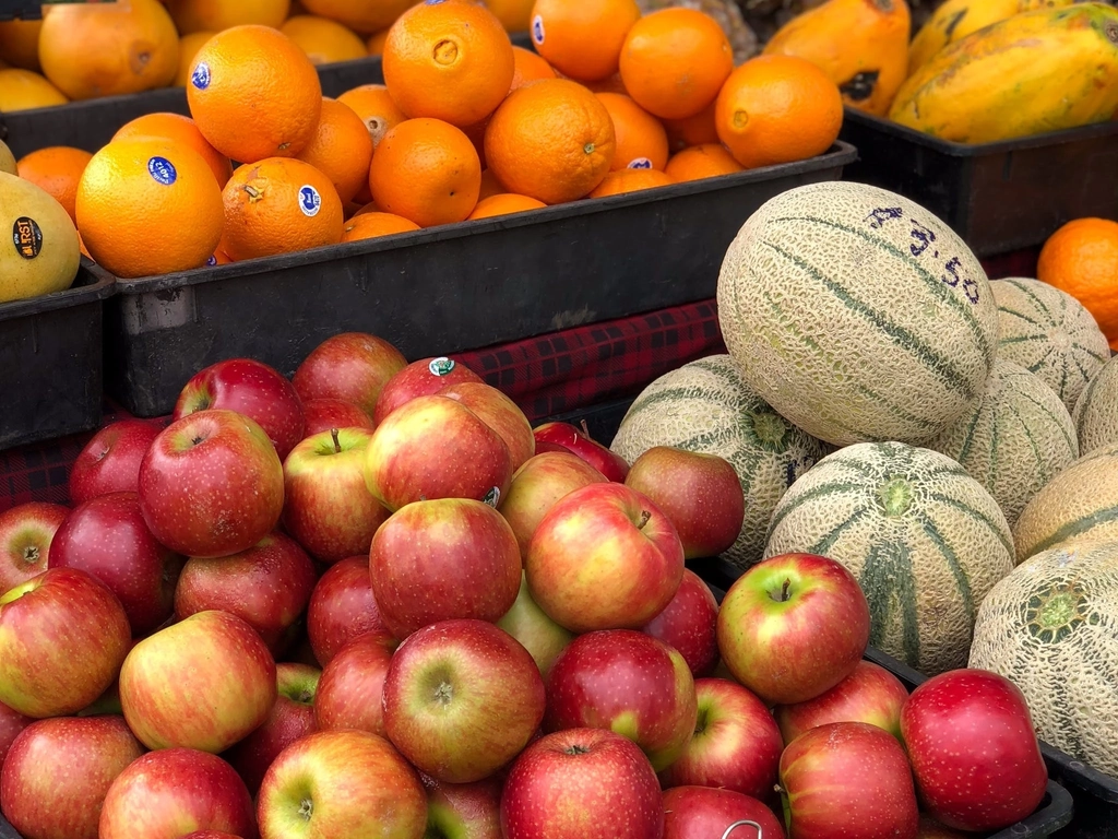 Apples oranges and rockmelons