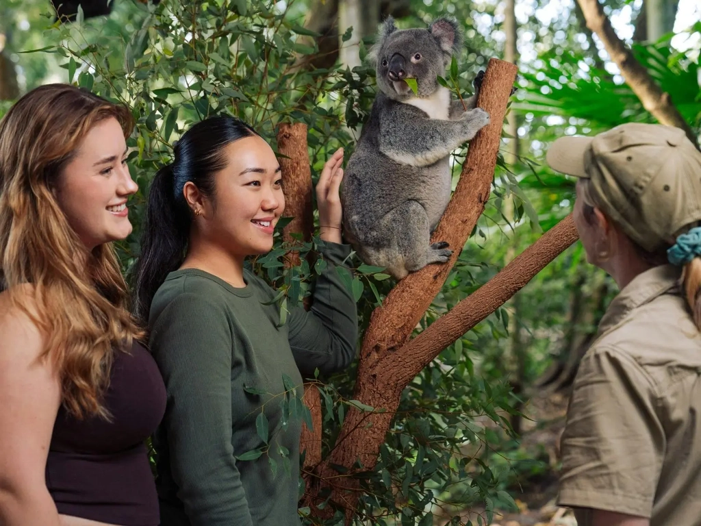 Guests participating in koala encounter