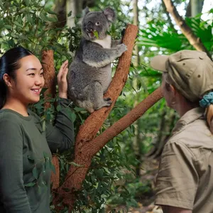 Guests participating in koala encounter