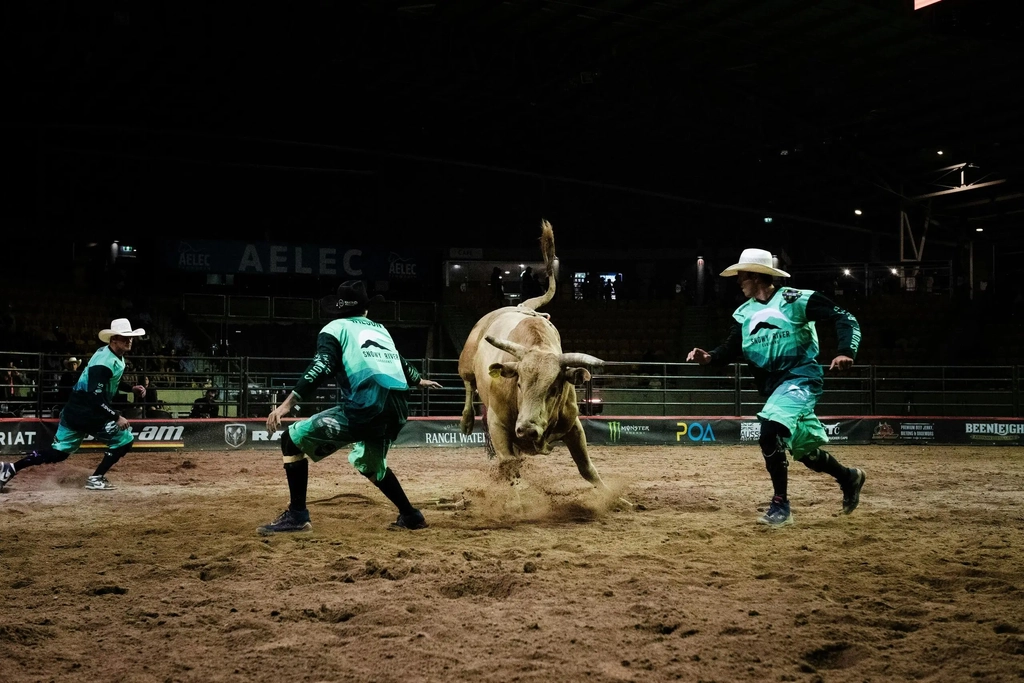 PBR Monster Energy Tour Beaudesert Invitational Image 8