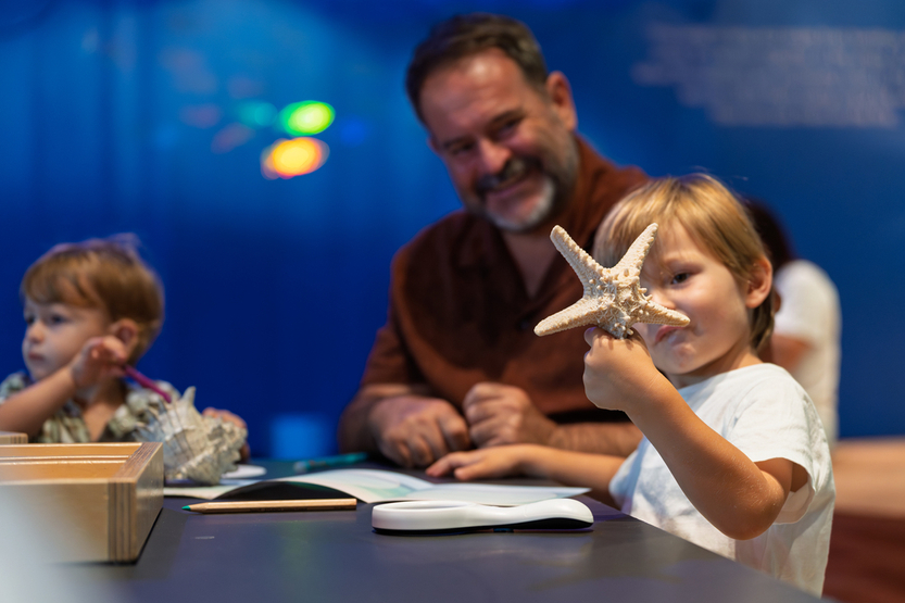 Saltwater Heart Exhibition