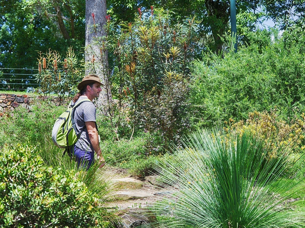 GC Botanic Gardens walking trail