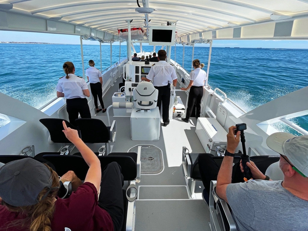 Whale Watch Queensland