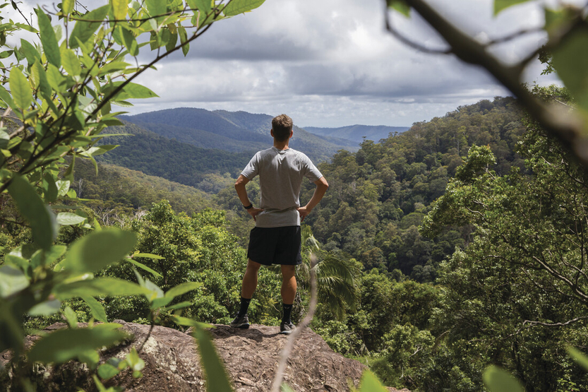 TEQ_SPringbrook - Lower bell bird.jpg