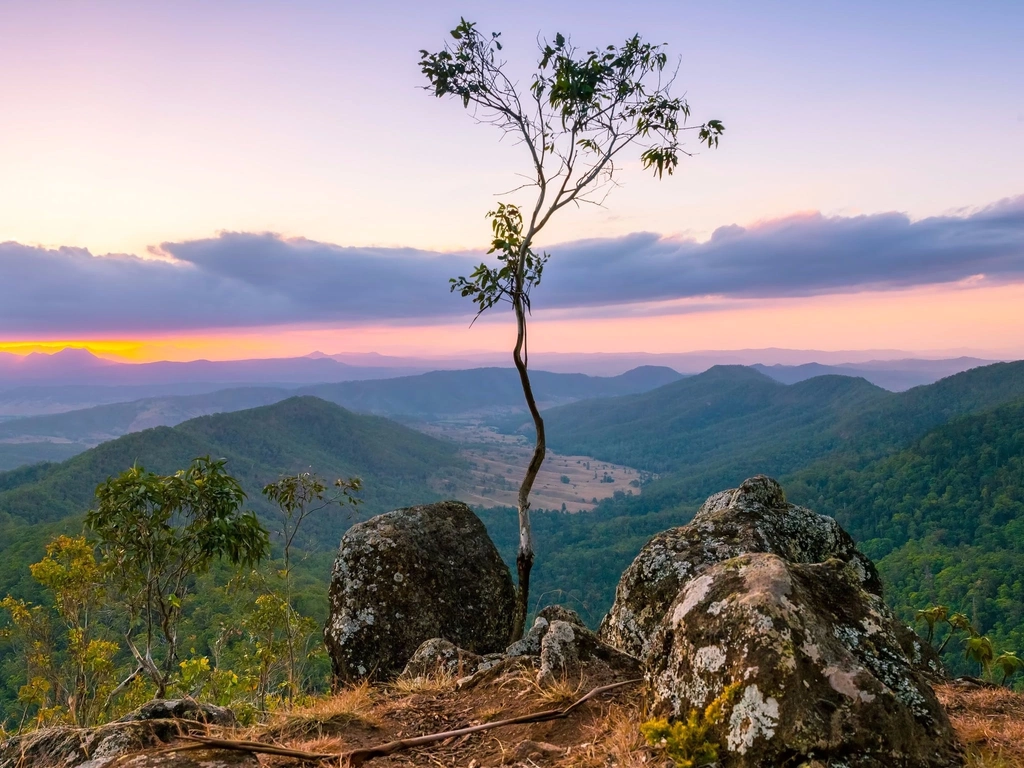 Luke's Bluff, Lamington