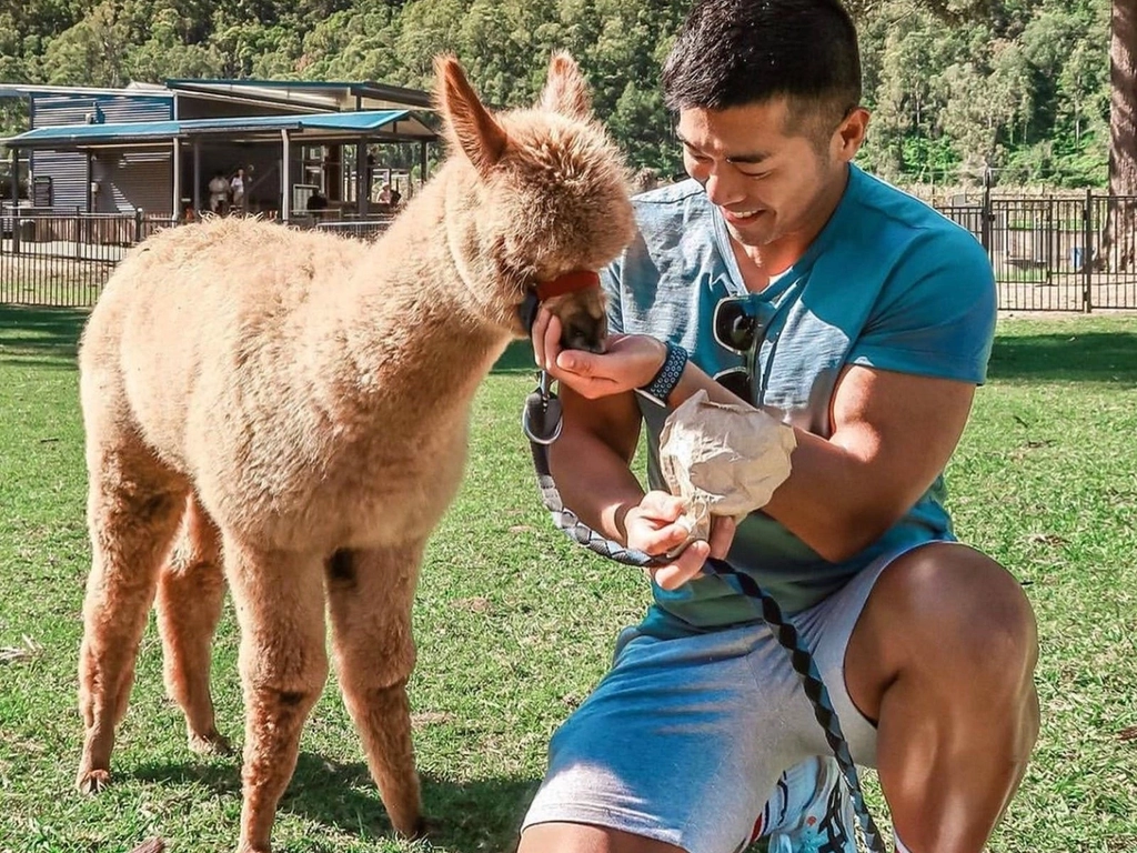 Feeding baby alpacas - just perfect!