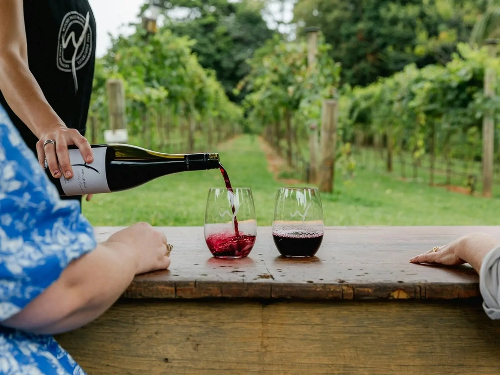 Red wine being poured in front of vineyard