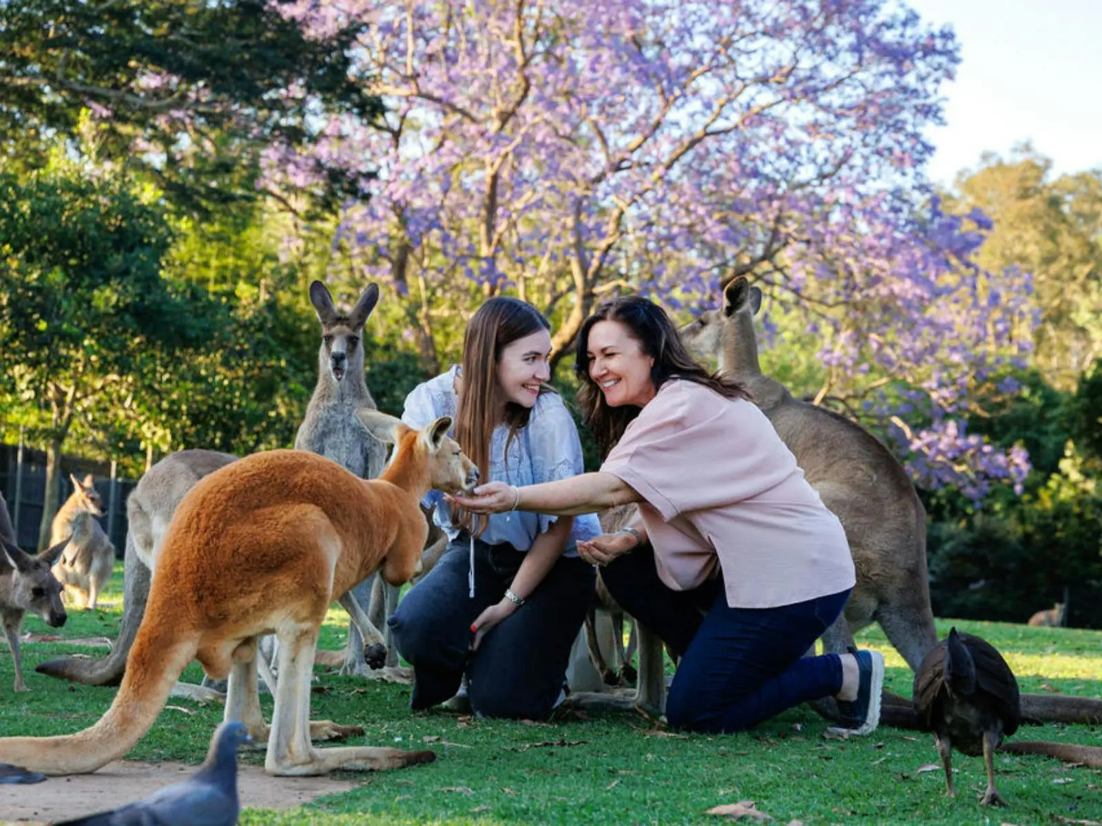 Queensland Locals Discount