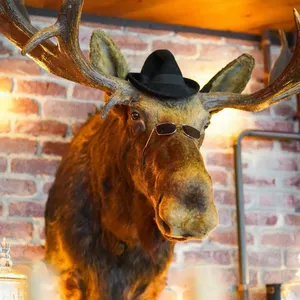 The Loose Moose 10th Birthday Image 1